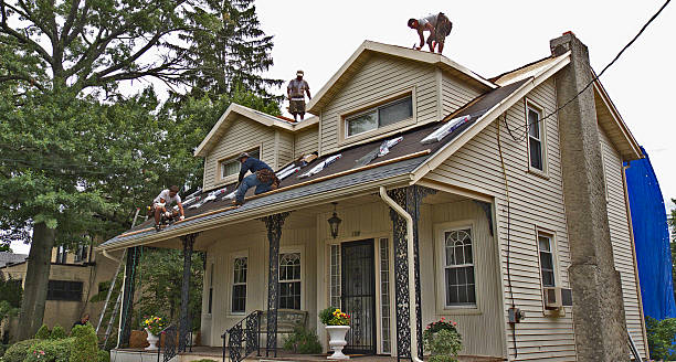 Quick and Trustworthy Emergency Roof Repair Services in Homosassa Springs, FL